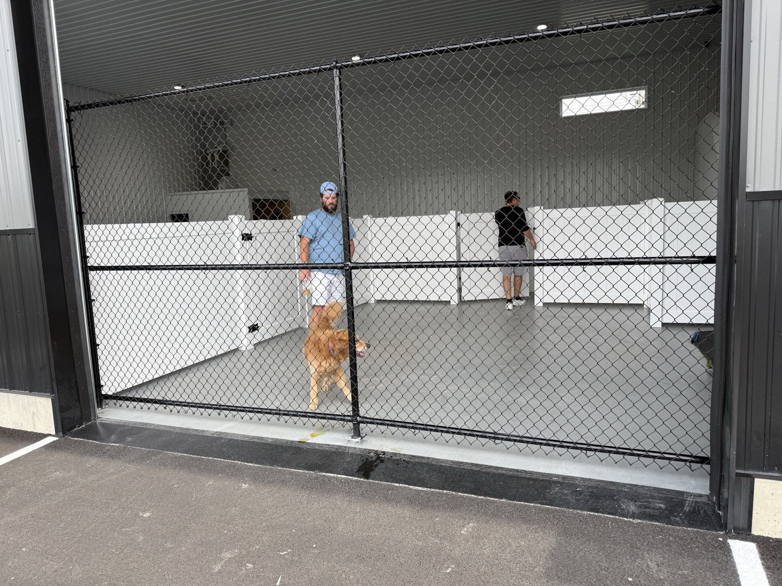 Real indoor dog-care zone with black safety gates at Barkingham Palace in Rotterdam, NY